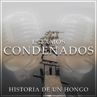 02x02 - HISTORIA DE UN HONGO.