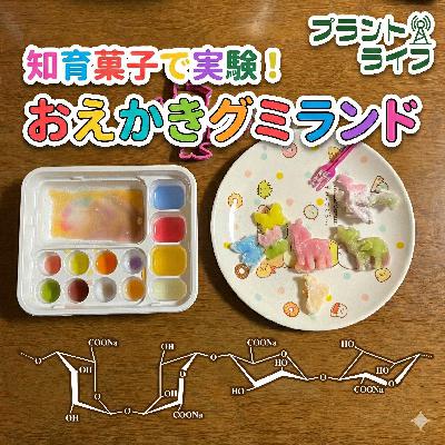 #71 知育菓子「おえかきグミランド」で遊ぼう！原材料から想像する原理