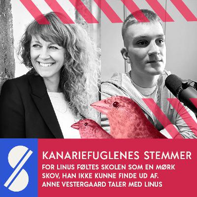 26. For Linus føltes skolen som en mørk skov, han ikke kunne finde ud af. Anne Vestergaard taler med Linus