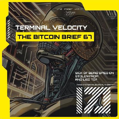 Terminal Velocity | THE BITCOIN BRIEF 67 Terminal Velocity | THE BITCOIN BRIEF 67