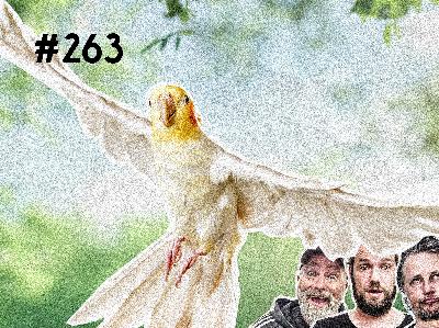 #263 Schwester Baum und Bruder Nymphensittich