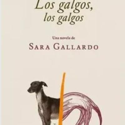 Los galgos, los galgos.