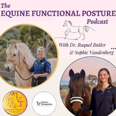 Episode 53: Training vs Conditioning Episode 53: Training vs Conditioning