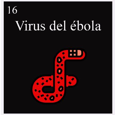 16. Virus del ébola