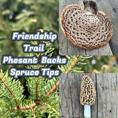 The Friendship Trail The Friendship Trail