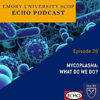 Mycoplasma: What do we do?