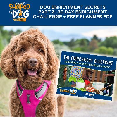 Dog Enrichment Secrets Part 2: 30 Day Enrichment Challenge + Free Planner PDF #315 Dog Enrichment Secrets Part 2: 30 Day Enrichment Challenge + Free Planner PDF #315
