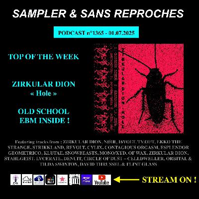 S&SR Podcast n°1365  – 01.07.2025 [ Top of the week ZIRKULAR DION « Hole »]