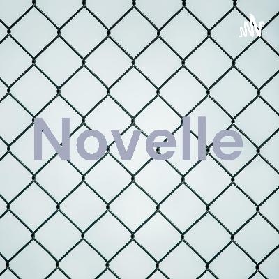 Novelle