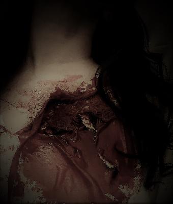 1: The Bride's Bleeding Heart 1: The Bride's Bleeding Heart