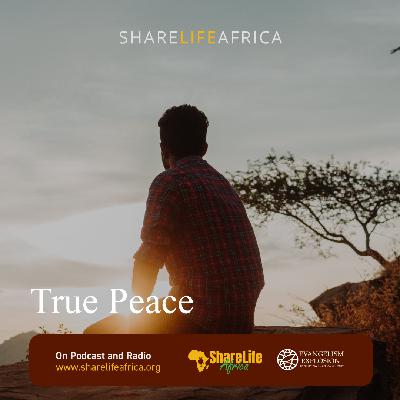 True Peace True Peace