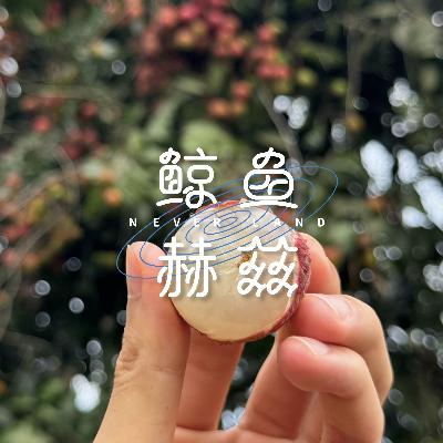 Vol.219 今年夏天的荔枝快吃完了，你最喜欢哪里的？