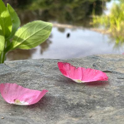 Main Character Energy Main Character Energy