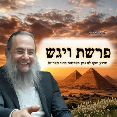 מדוע יוסף לא נגע באדמות כהני מצרים? הגאון הרב דוד לייבל בשיעור השבועי | פרשת ויגש