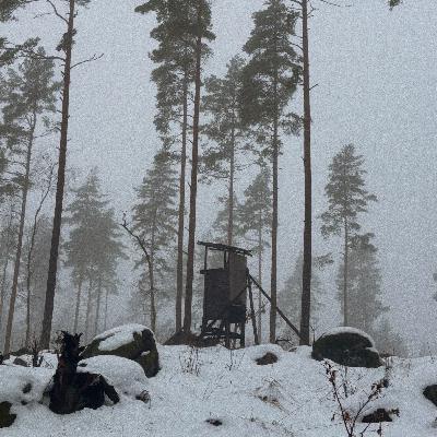 Von Klötzen und Pinseln #11 - über Schweden und jagdliche Werte Von Klötzen und Pinseln #11 - über Schweden und jagdliche Werte