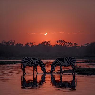 Mkuze River: Nature Sounds for Sleep Mkuze River: Nature Sounds for Sleep