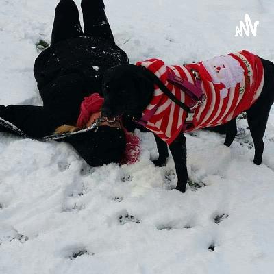 Welcome to The Moon and Mischief Welcome to The Moon and Mischief