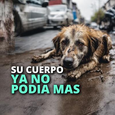 Su cuerpo ya no podía más, imploró por ayuda, pero solo la soledad respondió