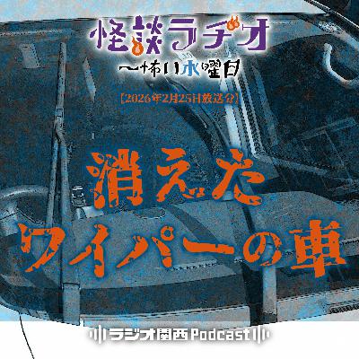 #542 消えたワイパーの車