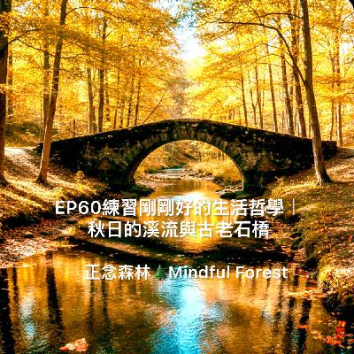 EP60練習剛剛好的生活哲學|秋日的溪流與古老石橋 EP60練習剛剛好的生活哲學|秋日的溪流與古老石橋