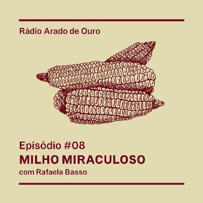 #08 - Milho Miraculoso #08 - Milho Miraculoso