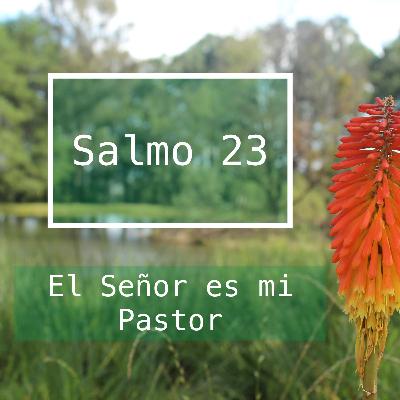 La bondad y la misericordia de Dios (Salmo 23:5-6)
