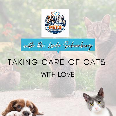 Taking Care Of Cats With Love | SOP Ep. 106 - Dr. Linda Schoenberg Taking Care Of Cats With Love | SOP Ep. 106 - Dr. Linda Schoenberg