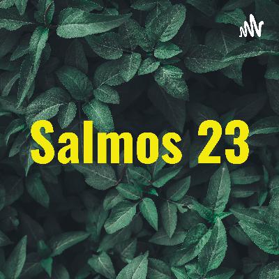 Palavras de vida e de esperança