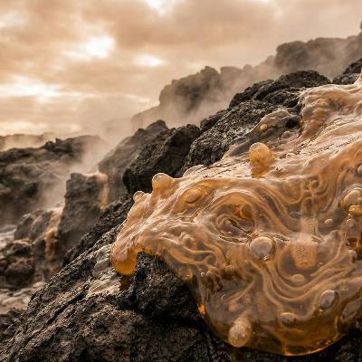 生命は「ネバネバのゲル」から生まれた？──広島大学らが提唱する新理論の衝撃