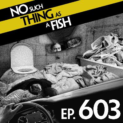 603: No Such Thing As Jack Can't Reacher