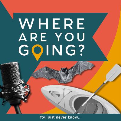 A canoe, a mic and a bat