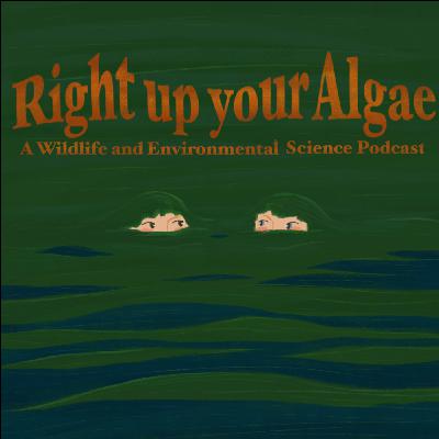 Don't Sweat It: How Different Organisms Deal With The Summer Heat