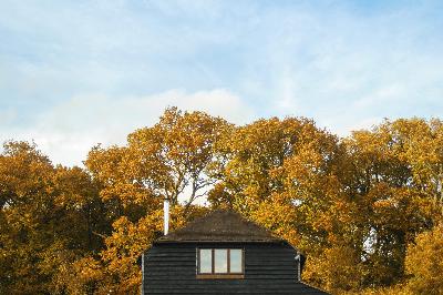 Lessons from the Woods - Beginnings