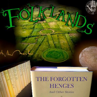 The Forgotten Henges The Forgotten Henges