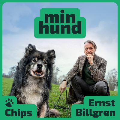 Min hund, avsnitt 3: Ernst Billgren och Chips(o)