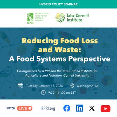 Reducing Food Loss and Waste: A Food Systems Perspective