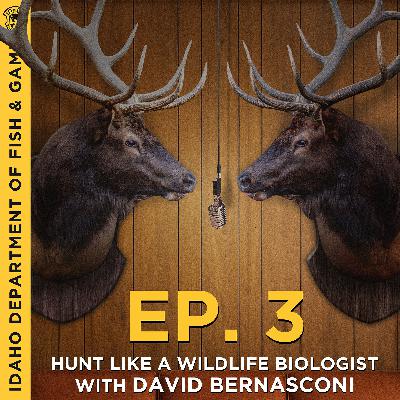 Ep. 3 - Hunt Like a Wildlife Biologist With David Bernasconi
