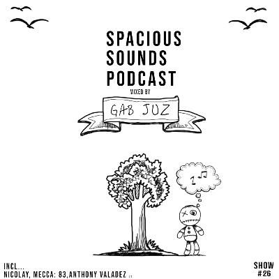 Spacious Sounds Podcast SHOW #26