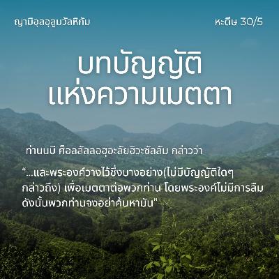 หะดีษ 30/5 บทบัญญัติแห่งความเมตตา (เรื่องที่ไม่มีบทบัญญัติ)