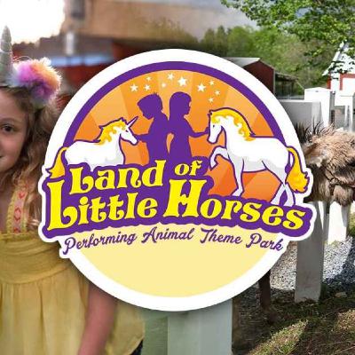 ep 367 - the land of little horses