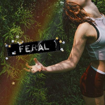 Nichole Sophia - Storyteller of the Wild Heart