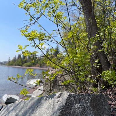 2️⃣7️⃣ You are what you Seek