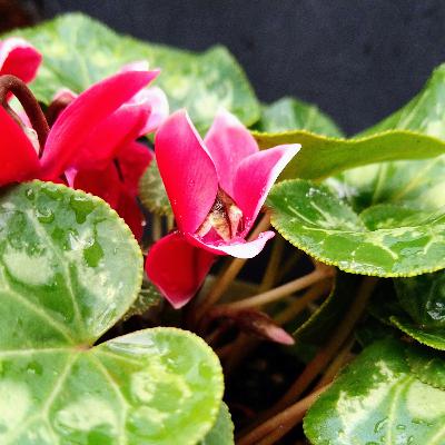 実践、ピアノ瞑想法5 実践、ピアノ瞑想法5