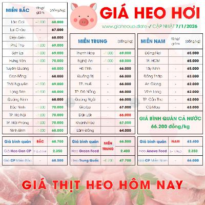 GIÁ HEO HƠI 7/1/2026 ✅ GIÁ THỊT LỢN & TIN TỨC CHĂN NUÔI #GIAHEOHOI #GIATHITHEO #GIAHEOUPDATE