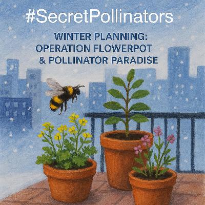 Winter Planning: Operation Flowerpot & Pollinator Paradise"
