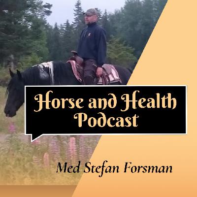 Det Tar Den Tid Det Tar! Del 2 (Stefan Forsman, Swedish)