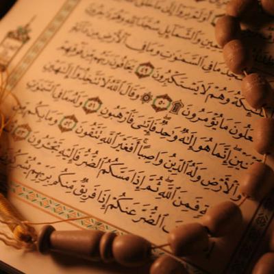الحلقة الاخيرة - أحسن القصص (28) - الشيخ عمر عبد الكافي