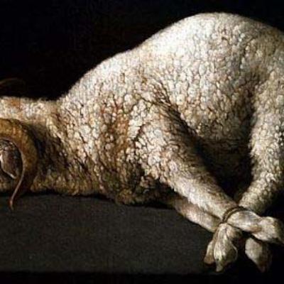 Setting Apart The Lamb