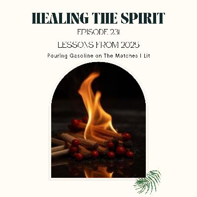 231. Lessons from 2025: Pouring Gasoline on The Matches I Lit