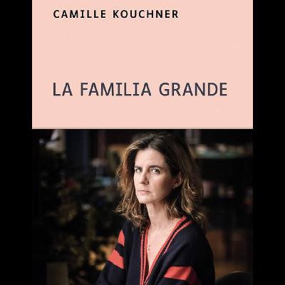 17. 我该翻译这本书么?—— 《La familia grande》及家庭权力的解构 17. 我该翻译这本书么?—— 《La familia grande》及家庭权力的解构